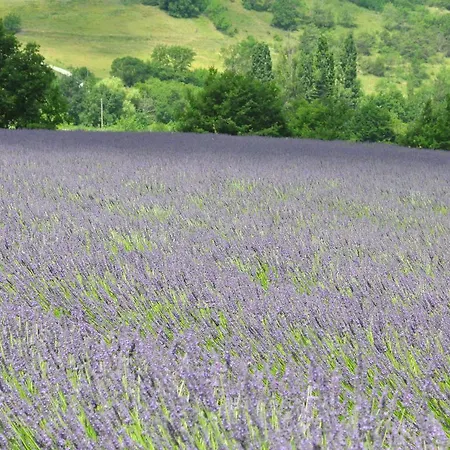 Villa Mas Ardeche *